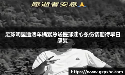 9499www威尼斯