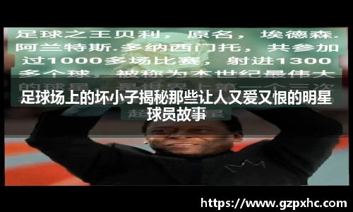 9499www威尼斯官网